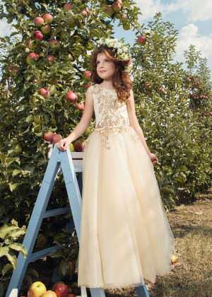 Lace Appliques Tulle Lace-up Back Pretty Flower Girl Dress